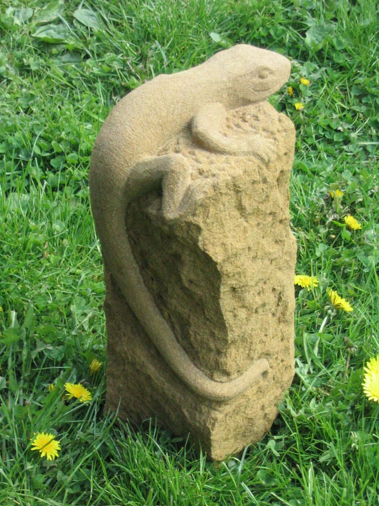 Eidechse auf Stein,16 (3).JPG